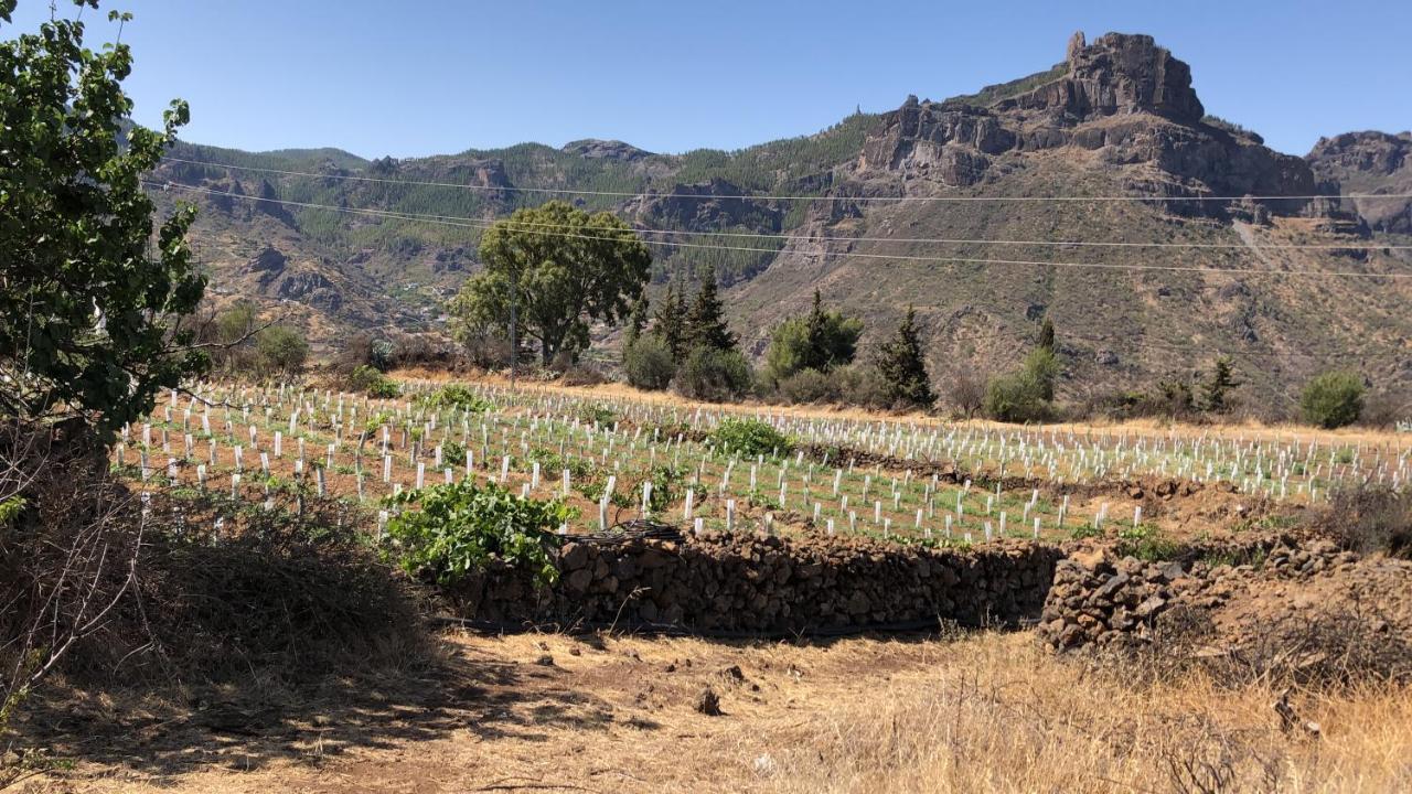 Casa-Finca El Maipez De Tejeda Лас Палмас де Гран Канария Екстериор снимка