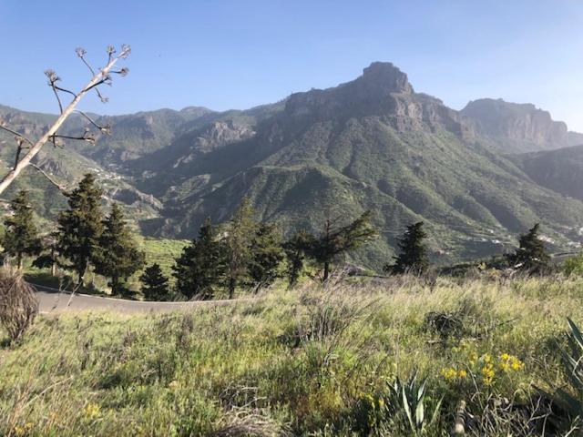 Casa-Finca El Maipez De Tejeda Лас Палмас де Гран Канария Екстериор снимка