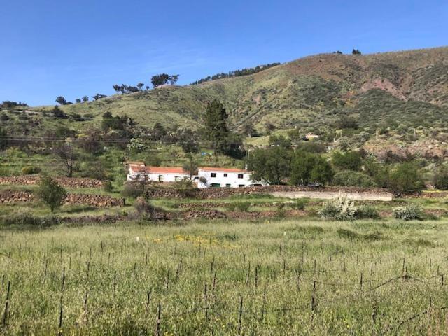 Casa-Finca El Maipez De Tejeda Лас Палмас де Гран Канария Екстериор снимка