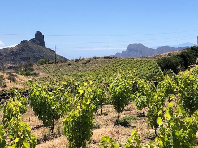 Casa-Finca El Maipez De Tejeda Лас Палмас де Гран Канария Екстериор снимка